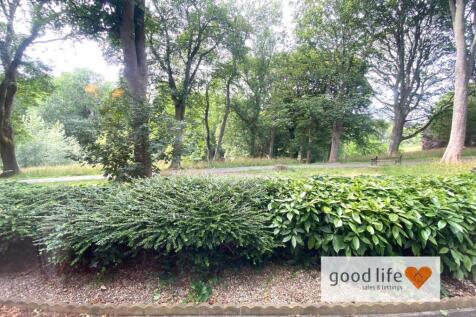 20250708_154046347_iOS32beechholm.jpg