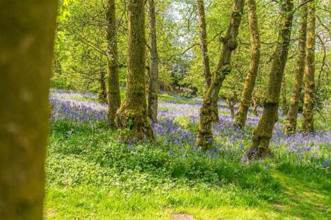 Property Image 36