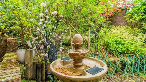 Property Image 44