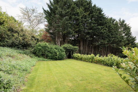 Property Image 46