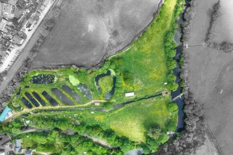 Low Mills Trout Farm
