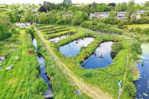 Low Mills Trout Farm