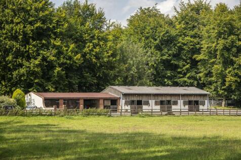 2024-08-12 Willowdown Farm_067_.jpg
