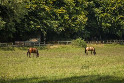2024-08-12 Willowdown Farm_068_.jpg