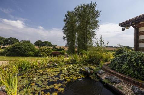 2024-08-12 Willowdown Farm_049_.jpg