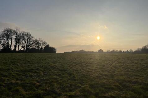 IMG_5728.JPEG