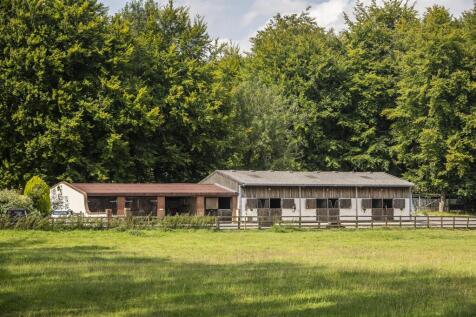 2024-08-12 Willowdown Farm_067_.jpg