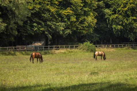 2024-08-12 Willowdown Farm_068_.jpg