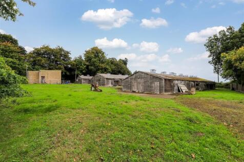 Ground Shot Mid Page.jpg