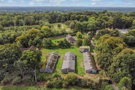 Back Page Image (2).jpg