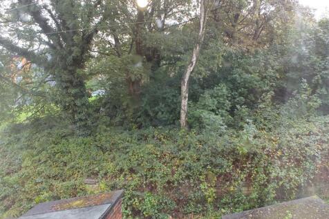 DSCF5488.JPG