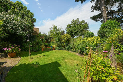 Vine cottage the ...