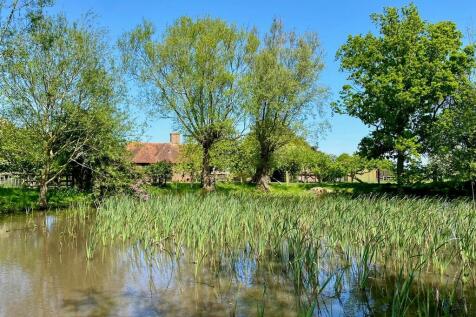 pond crop