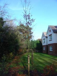 Communal grounds
