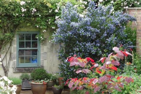 Property Image 26