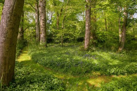 Property Image 27