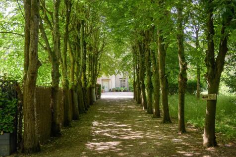 Property Image 43