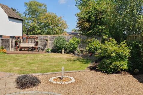 back garden 2