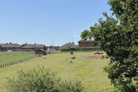 IMG_4075