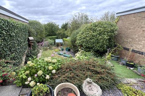 IMG_0257(1)