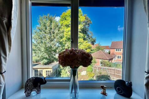 Summer view