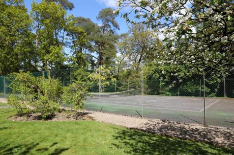 Property Image 25