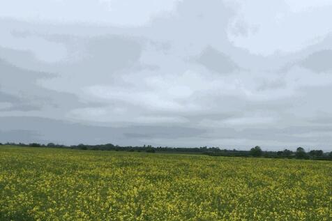 Photo 35
