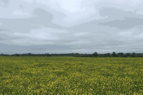 Photo 39