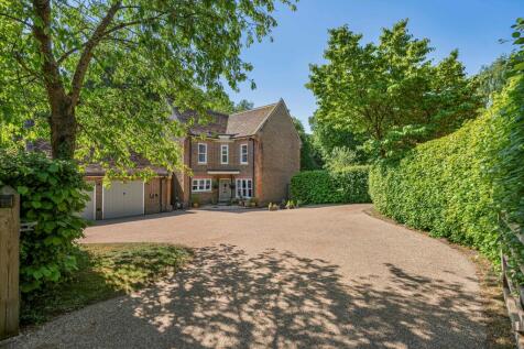Property Image 39