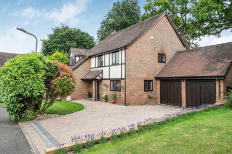 Property Image 41
