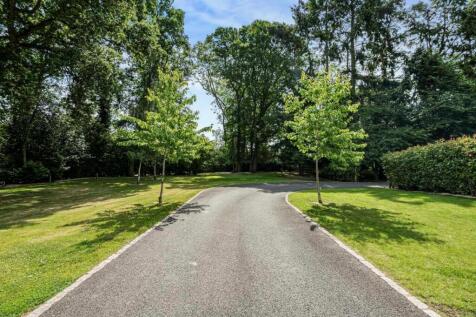 Property Image 38