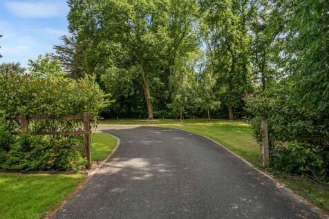 Property Image 39
