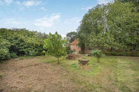 Property Image 54