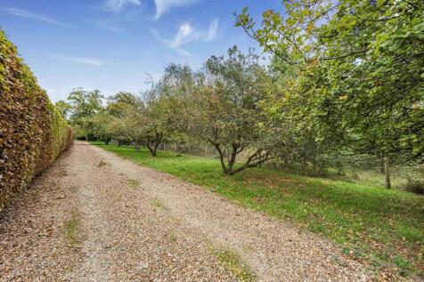 Property Image 31
