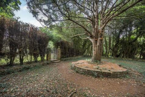 Property Image 63