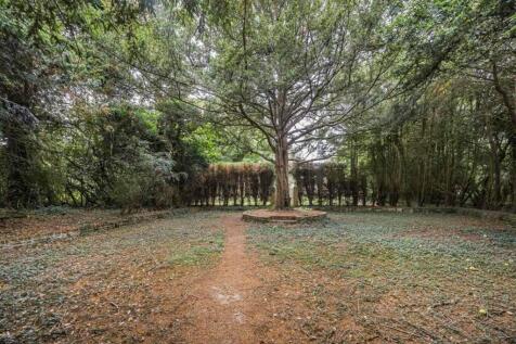 Property Image 64