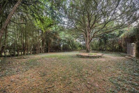 Property Image 65