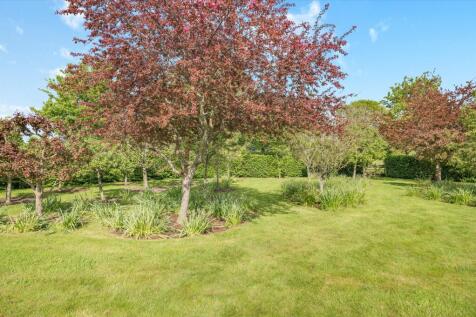 Property Image 44