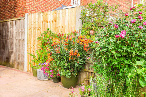 Property Image 16