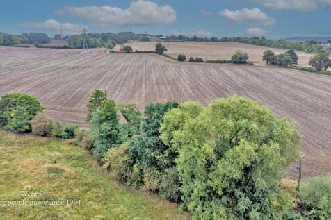 DJI_0299.JPG