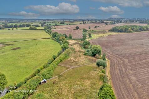 DJI_0307.JPG