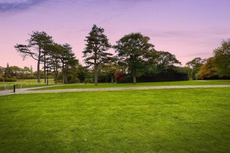 duskshots-e995da0...