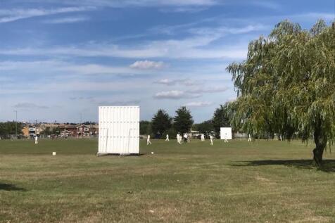 cricket.jpg