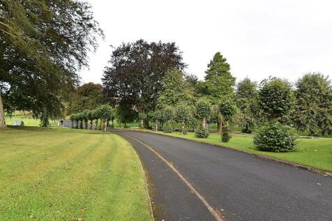 DSC_3176.jpg