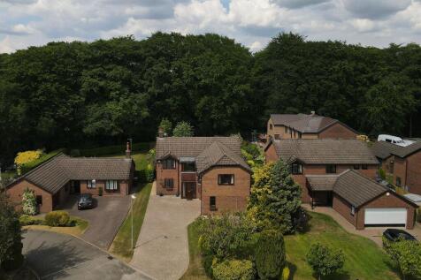 DJI_0632.JPG