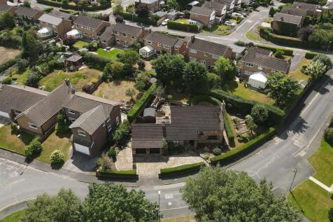 DJI_0614a.jpg