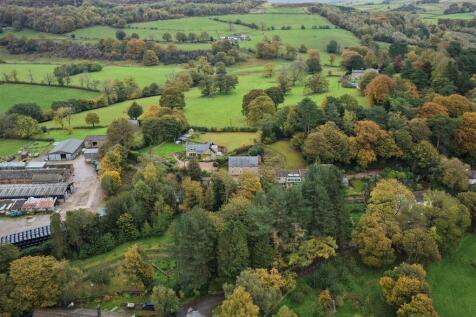 DJI_20251021121203_0216_D.jpg