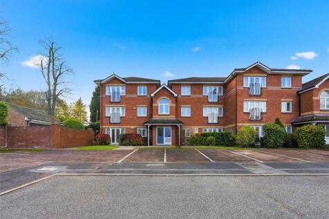 Generative Fill 3.jpg