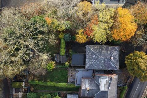 Brightness_Contrast 1-04.jpg