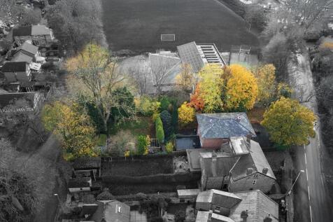 Brightness_Contrast 1-07.jpg